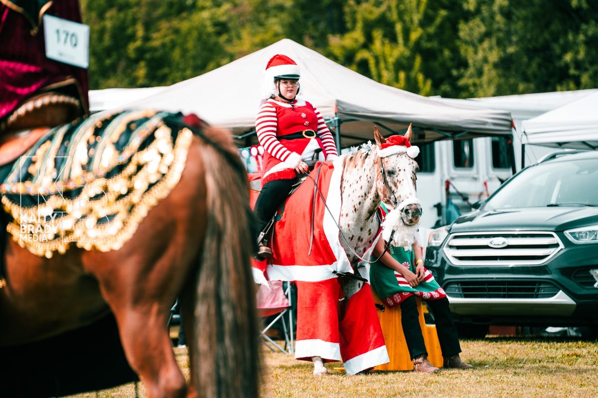 Costumed horse and rider at the Havelock Fair
