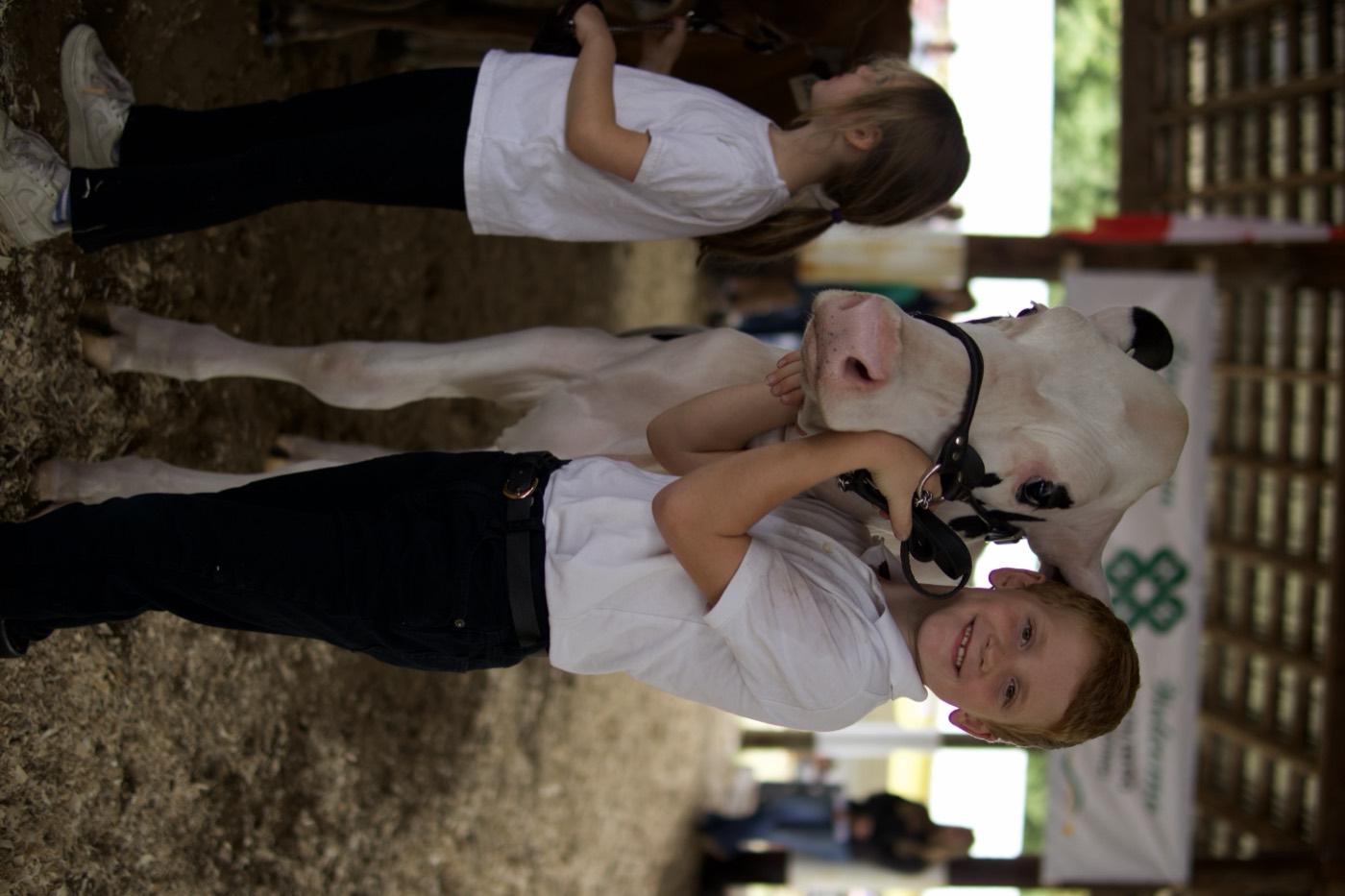 Two young showmen with their calf
