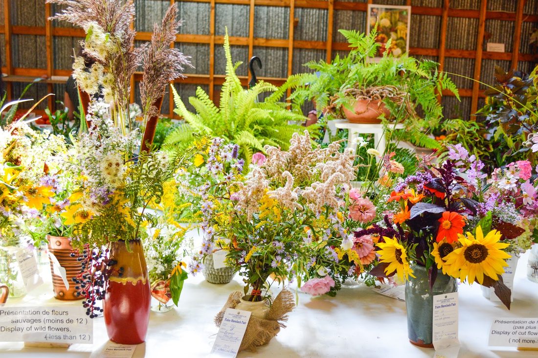 Prize-winning floral arrangements in the exhibit hall